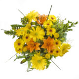 Daisy and Lily Bouquet Fotografie-Druck von James Forte