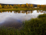 Scenic of Pond, Hills, and Trees in Autumn Hues Photographic Print by Mattias Klum