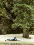 Kayaker Rests on a Sand Beach under a Big Tree on the Lochsa River Photographie par Skip Brown
