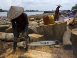 Workers on the Kapuas River Cut Waste Timber from a Sawmill Upstream Photographic Print by Mattias Klum