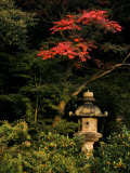 Colorful Trees and Sculpture in a Japanese Garden Fotografisk tryk af Mattias Klum Colorful Trees and Sculpture in a Japanese Garden Fotografisk tryk af Mattias Klum