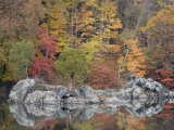Fall Foliage Along the C&O Canal Photographie par Skip Brown