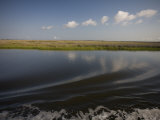 Water and Marsh in Plaquemines Parish, Louisiana Photographic Print by Tyrone Turner
