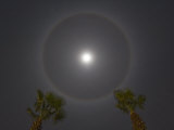 Looking Straight Up at Moon Rings on a Cool Night Photographic Print by Mike Theiss 