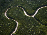 Small Meandering River Between Sarawak River and Samarahan River Fotografisk tryk af Mattias Klum Small Meandering River Between Sarawak River and Samarahan River Fotografisk tryk af Mattias Klum