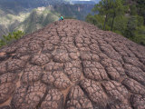 Hiker and Unique Rock Formations Atop Thousand Turtle Mountain Photographic Print by Scott Warren
