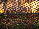 Organic Red and Green Chile Peppers Roast on a Grill Lámina fotográfica por Ralph Lee Hopkins