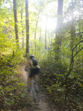 Woman Mountain Biking Through the Woods on a Summer Day Photographie par Skip Brown
