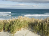 Scenic Hillside of the Beach and Grasses on the Pacific Ocean Photographie par Bill Hatcher