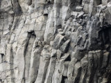 Detail of Rock with Column-Like Construction Photographic Print by Mattias Klum