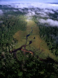 Aerial View of the Mbeli Bai, a Clearing in the Nouabale-Ndoki National Park Photographic Print by Michael Nichols