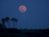 Moonrise over Samburu National Park Photographic Print by Michael Nichols