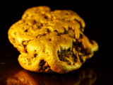 Gold Nugget from Yukon, Canada. Gold Rush in 1800's in the Klondike Photographie par Paul Nicklen