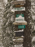 Cabin Owner Signs on a Tree in Winter in the Forest Photographie par Phil Schermeister