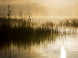 Fog and Mists Rising from Lake Mclaren in the Early Morning Photographic Print by Mattias Klum