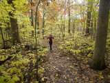 Woman Runs Through the Woods While Exercising in Early Fall Photographie par Skip Brown