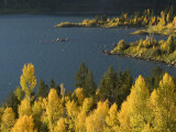 Aspens and Evergreens at Slide Lake on the Gros Ventre River Photographie par William Allen