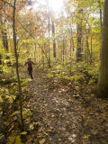 Woman Runs Through the Woods While Exercising in Early Fall Photographie par Skip Brown