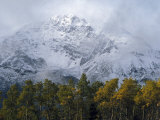 Snow Dusted Mountains and Trees with Autumn Hues Photographie par Paul Nicklen