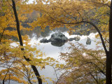 Fall Foliage and Rocks Along the C&O Canal Photographie par Skip Brown