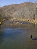 Fly Fisherman Casts into River Photographie par Skip Brown
