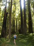 Woman Runs on a Trail Through a Coastal Redwood Forest Photographie par Skip Brown