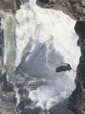 Great Blue Heron Taking Off from Rocks Near Big White Water Photographie par Skip Brown