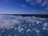Floe Edge after Wind Storm Which Battered the Edge with Ice and Waves Photographic Print by Paul Nicklen