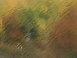Aspen Trees in Autumn Hues Seen Through a Rainy Windshield Photographie par William Allen