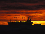 Silhouetted Cargo Ship Off of Baffin Island at Sunset Photographie par Paul Nicklen