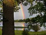 Rainbow over Water and Forest in the Summer Photographic Print by Mattias Klum
