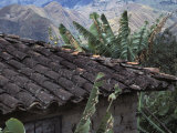 Tile Roof in Vilcabamba, Ecuador Photographic Print by Scott Warren