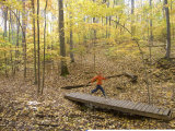 Woman Trail Running Through Fall Foliage Photographie par Skip Brown