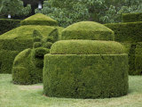 Topiary Garden at Longwood Gardens Photographic Print by Scott Warren