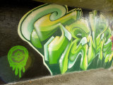 City Sponsored and Approved Graffiti of Dunedin City Lámina fotográfica por Bill Hatcher