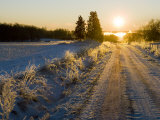 Sunlight Down a Dirt Road in a Snowy Winter Landscape Photographic Print by Mattias Klum