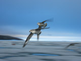 Northern Fulmars, Fulmarus Glacialis, Flying over Sea Ice Photographie par Paul Nicklen