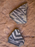 Prehistoric Anasazi Pottery Sherds in Grand Gulch Primitive Area Photographic Print by Scott Warren