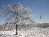 Wind Turbines in Winter after an Ice Storm Photographie par Skip Brown