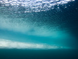 Tranquil Waters and Ice Below the Surface of Lancaster Sound, Baffin Island Canada Photographie par Paul Nicklen