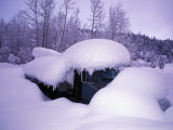 Old Truck Buried under Deep Snow Photographie par Paul Nicklen