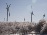 Wind Turbines after and Ice Storm Photographie par Skip Brown
