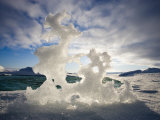 Lacy Ice Formation at Water's Edge, under a Cloud-Filled Sky Photographie par Paul Nicklen