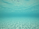 Underwater Shot of Clear Blue Water and White Sand Impressão fotográfica por Michael Melford Underwater Shot of Clear Blue Water and White Sand Impressão fotográfica por Michael Melford