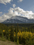 Fall Colors Brighten a Forest Below Mount Rundle in Banff National Park Photographie par Gordon Wiltsie