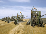 Men Drive Combines in Diagonal Line Through Golden Grain Fields Photographie par Jack Fletcher