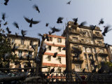 Pigeons Fly at Kothari Kaboota Khanna Near the Victoria Terminus Photographic Print by Abraham Nowitz