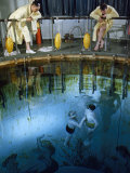 Submarine Trainee and Instructor Rise to Surface of Training Tank Fotografisk trykk av David Boyer Submarine Trainee and Instructor Rise to Surface of Training Tank Fotografisk trykk av David Boyer