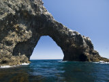 Anacapa Island Arch in the Channel Islands National Park, Close-Up Photographie par James Forte