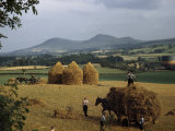 Men Harvest Oats Below Eildon Hills Photographic Print by B. Anthony Stewart